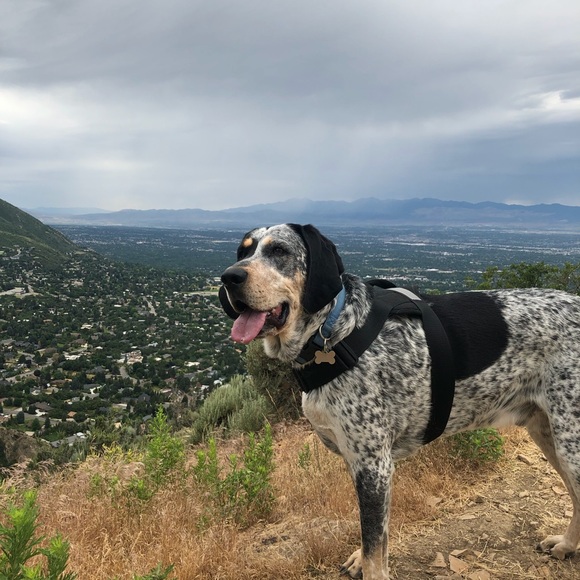 Meet your Posher, Yuri - Picture 1 of 1